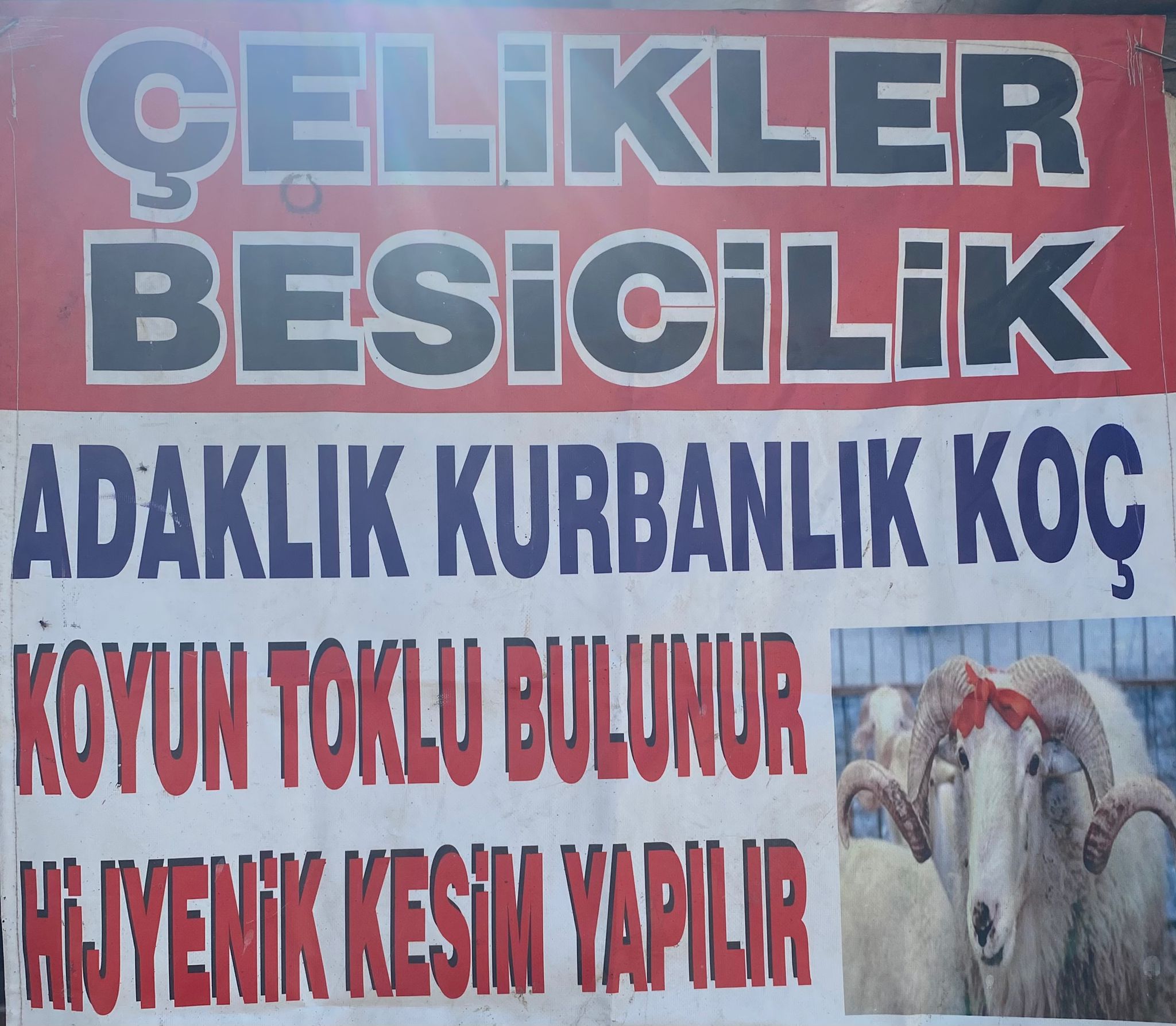 Çelikler Besicilik